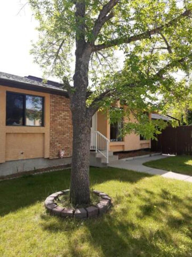 Cozy Home With Comfortable Beds And Fully Equipped Kitchen 15 Mins Drive From Airport, Downtown, Sait And U Of C And 80 Min Drive To Banff YYC Buitenkant foto